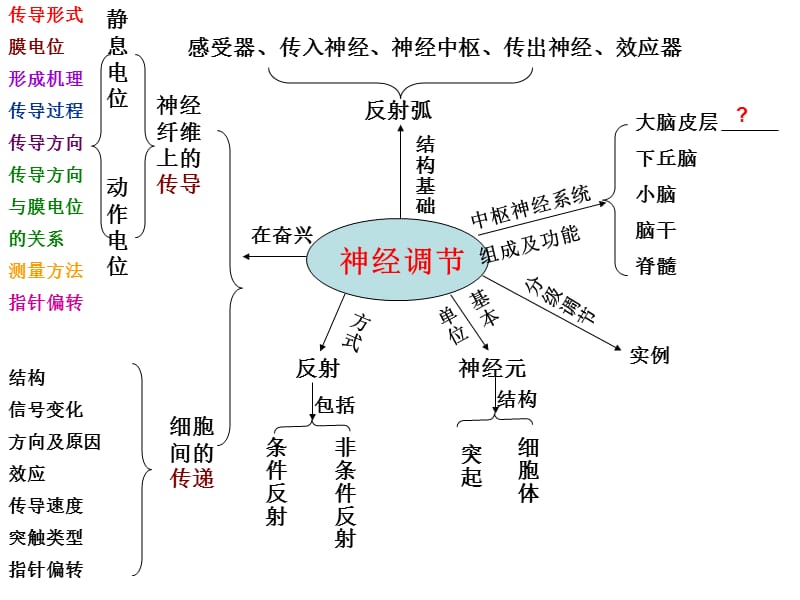 神经调节思维导图.ppt_第1页