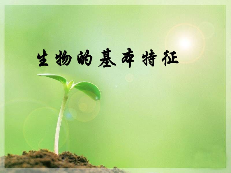 生物的基本特征课件.ppt_第1页