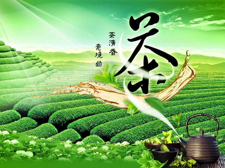 《茶花藝術(shù)》PPT課件.ppt_第1頁