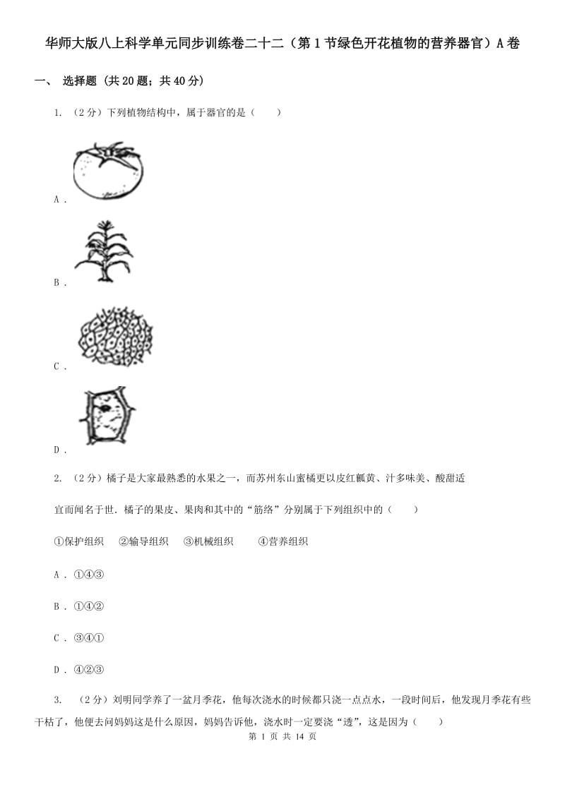 华师大版八上科学单元同步训练卷二十二（第1节绿色开花植物的营养器官）A卷.doc_第1页