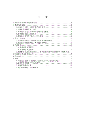 《現(xiàn)場處置方案》word版.doc