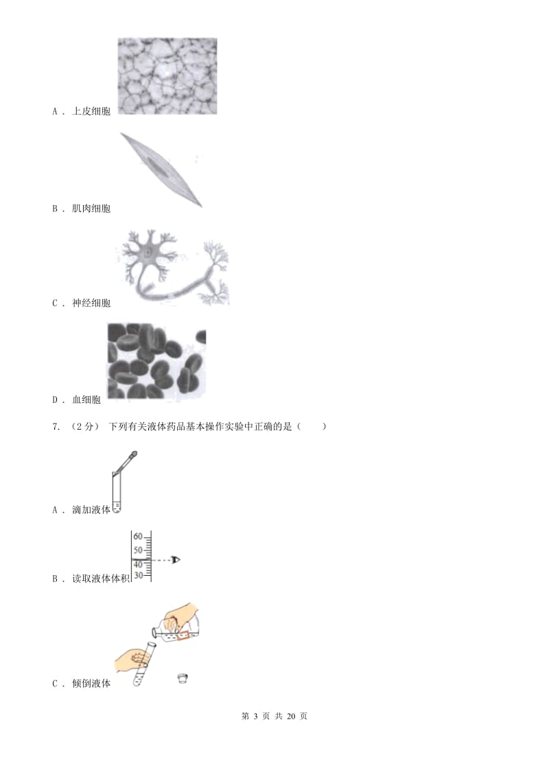 北师大版七年级上学期科学期中考试试卷（I）卷 .doc_第3页