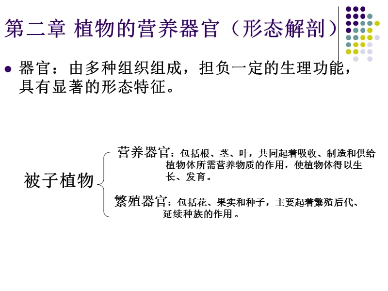 种子植物的营养器官.ppt_第1页