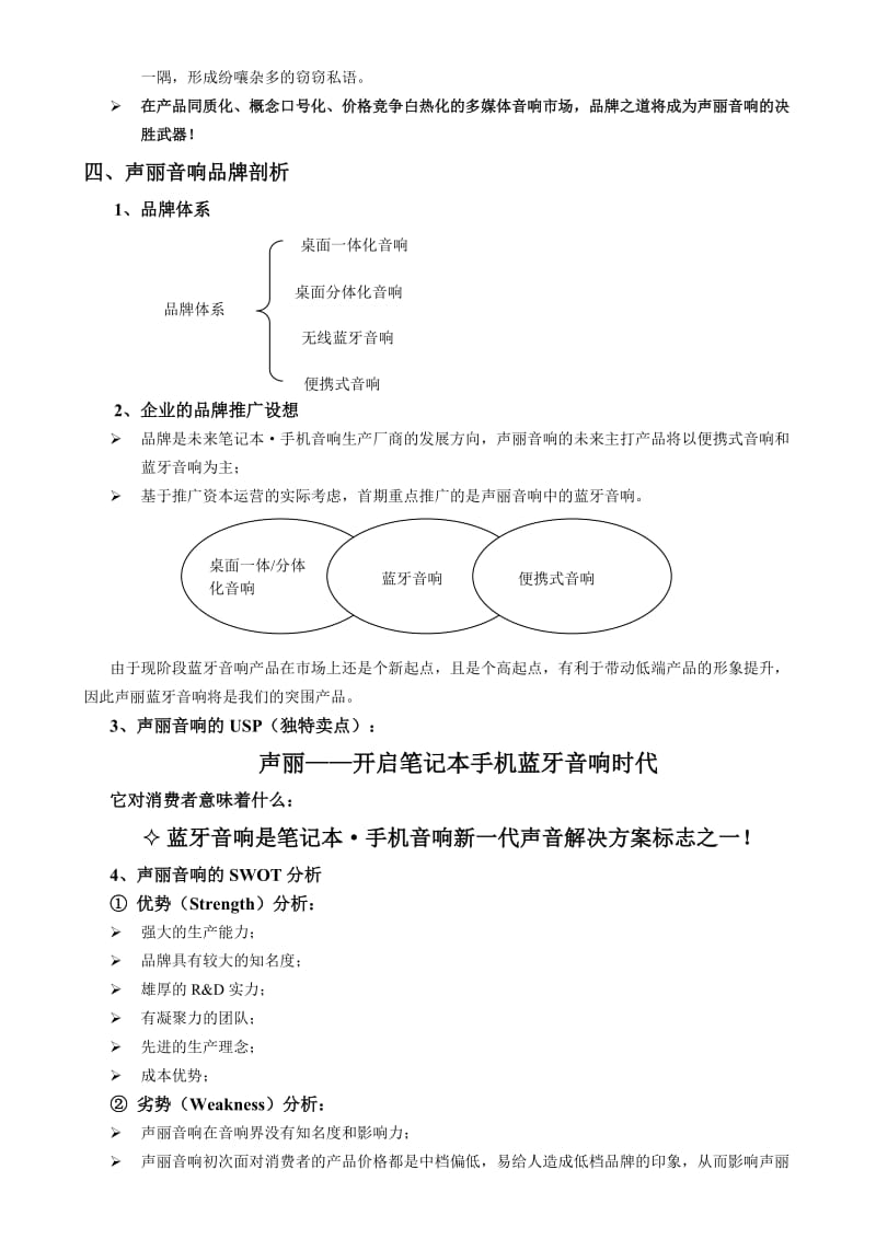 声丽音响2010年品牌推广方案.doc_第3页