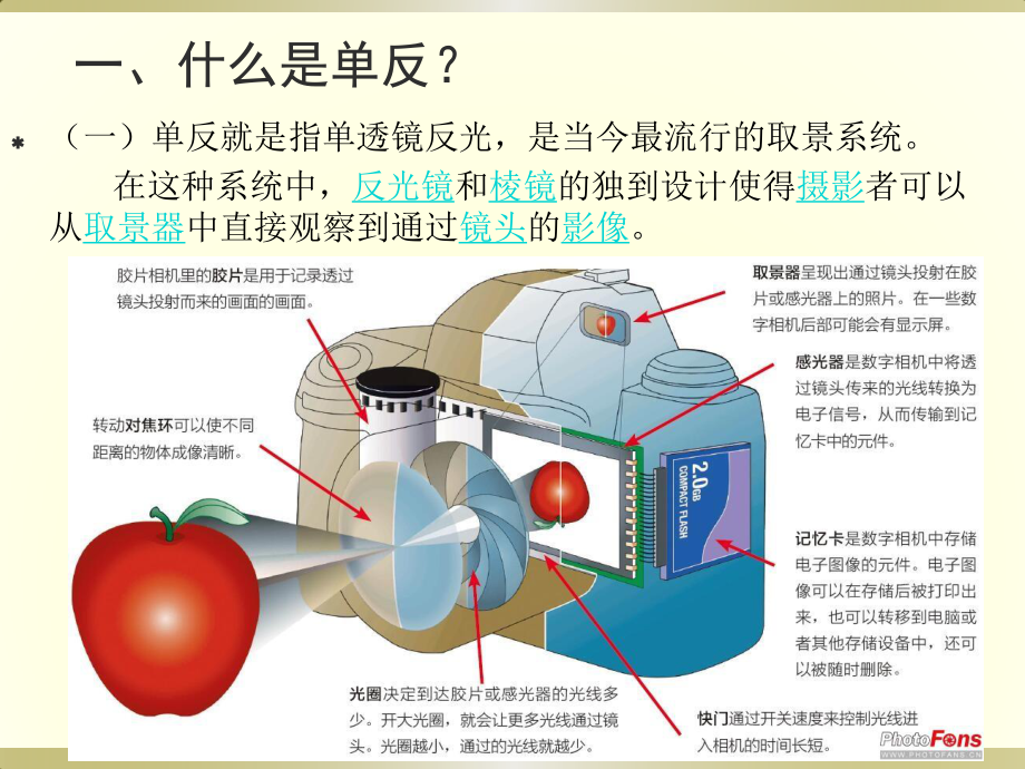 单反相机的关键参数.ppt_第1页