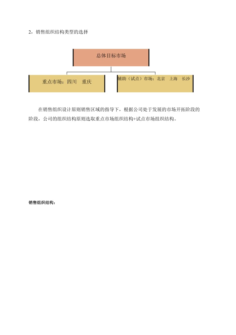 XX新产品上市销售管理方案.doc_第3页