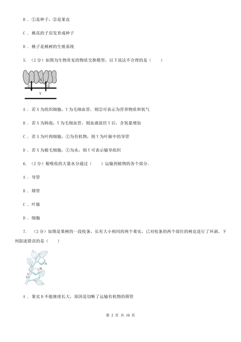 浙教版科学八年级下册第四章第4节植物的茎与物质运输同步练习B卷.doc_第2页