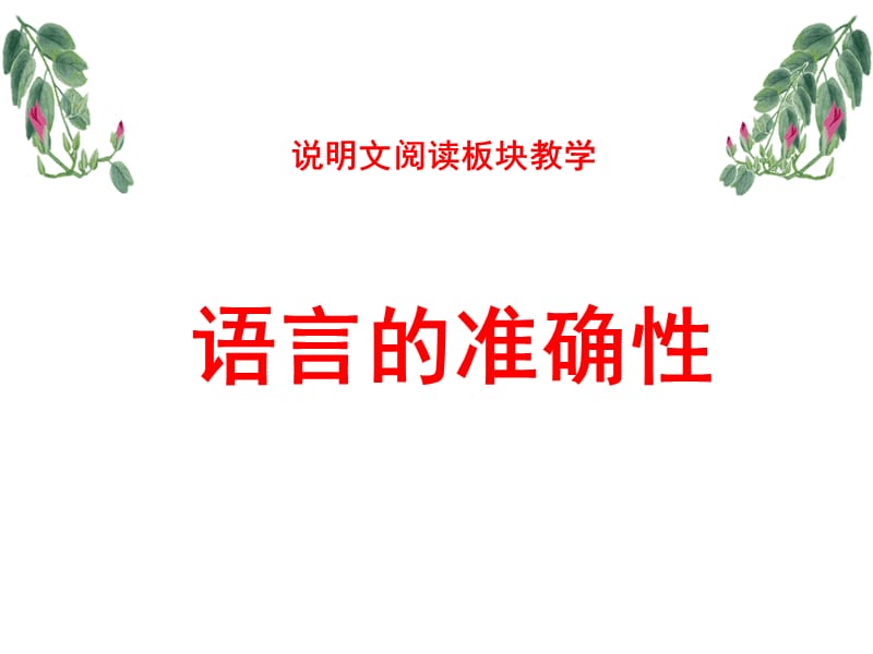 说明文语言的准确性.ppt_第1页