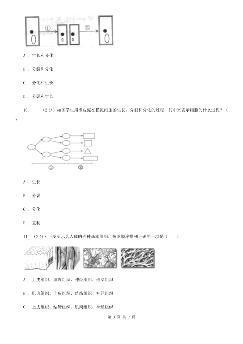 浙教版科学2019-2020学年七年级上学期2.3细胞的分裂、生长和分化组织（第1课时）同步练习A卷.doc_第3页