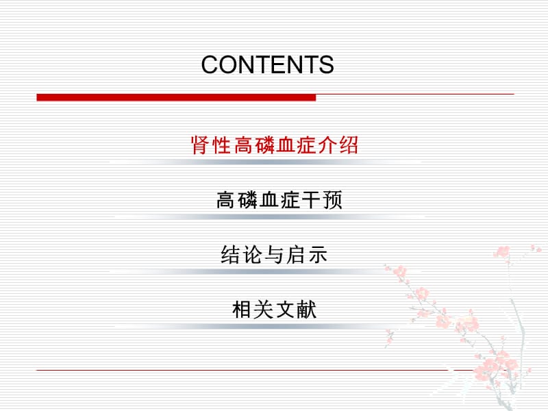 慢性肾病高磷血症.ppt_第2页