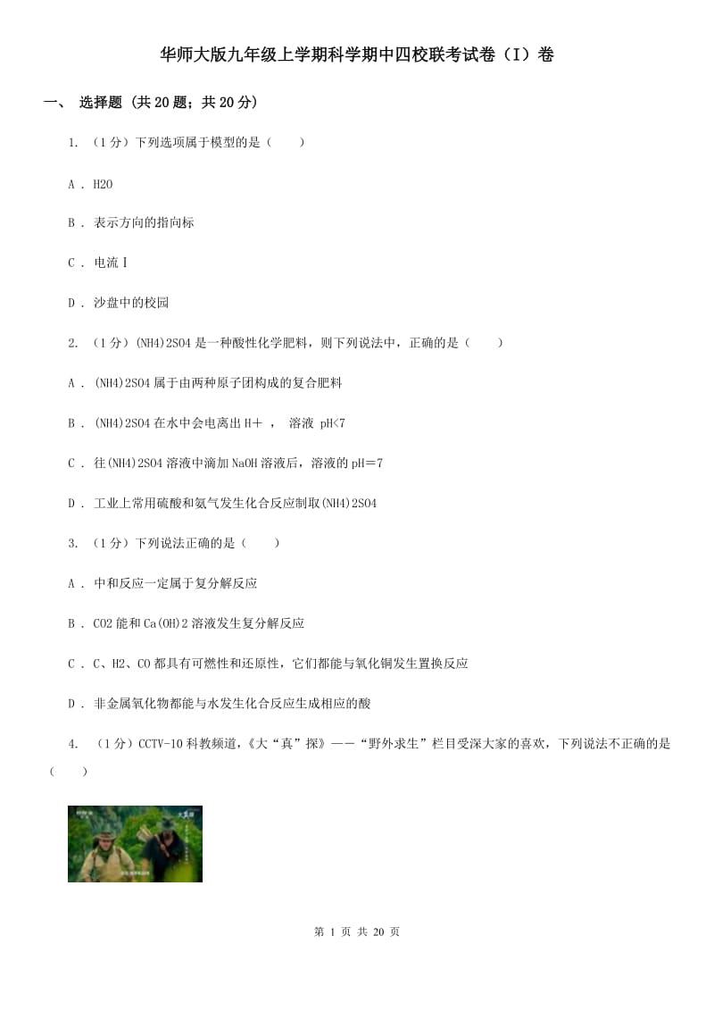 华师大版九年级上学期科学期中四校联考试卷（I）卷.doc_第1页