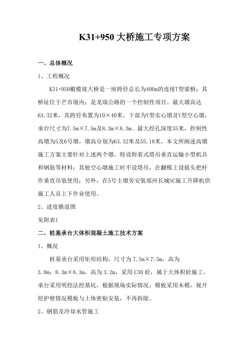 大桥高墩施工专项方案.doc_第1页