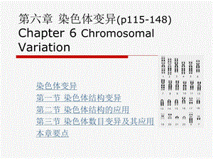遗传学第六章染色体变异.ppt