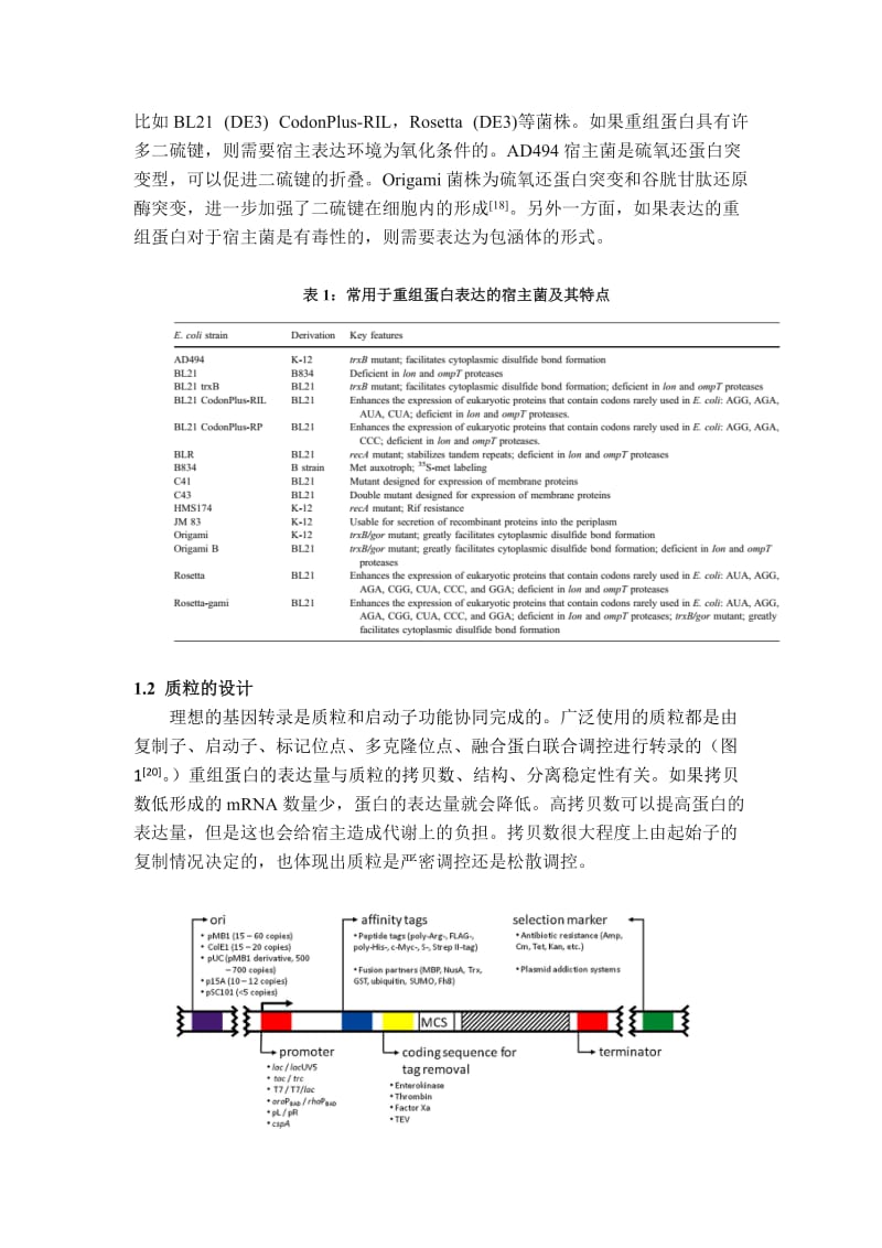 大肠杆菌高效表达重组蛋白策略.doc_第2页