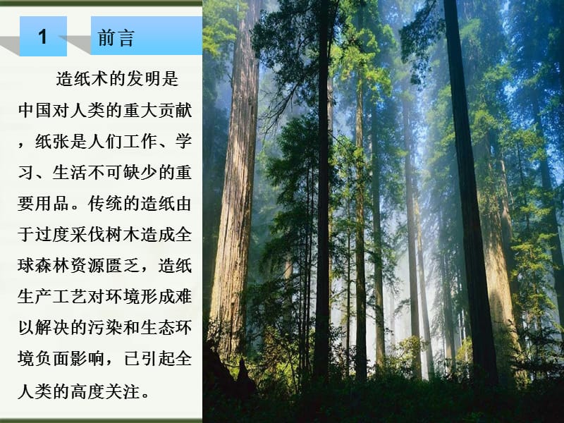 石头造纸生产工艺.ppt_第3页