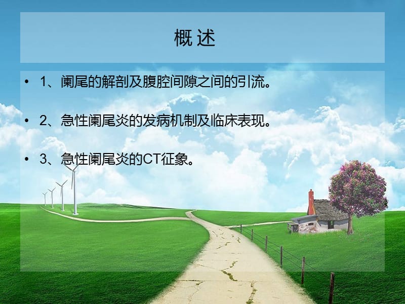 急性阑尾炎的CT诊断.ppt_第2页