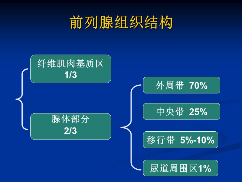 磁共振-前列腺癌-诊断标准.ppt_第3页