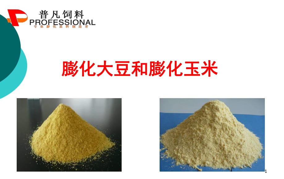 膨化大豆与膨化玉米.ppt_第1页