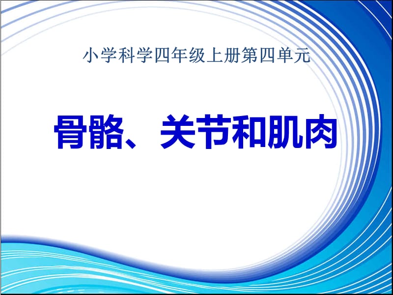 《骨骼、关节和肌肉》课件.ppt_第1页