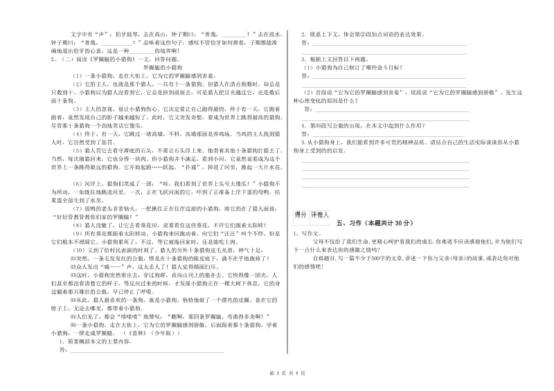 江苏版六年级语文下学期能力提升试题D卷 附解析.doc_第3页