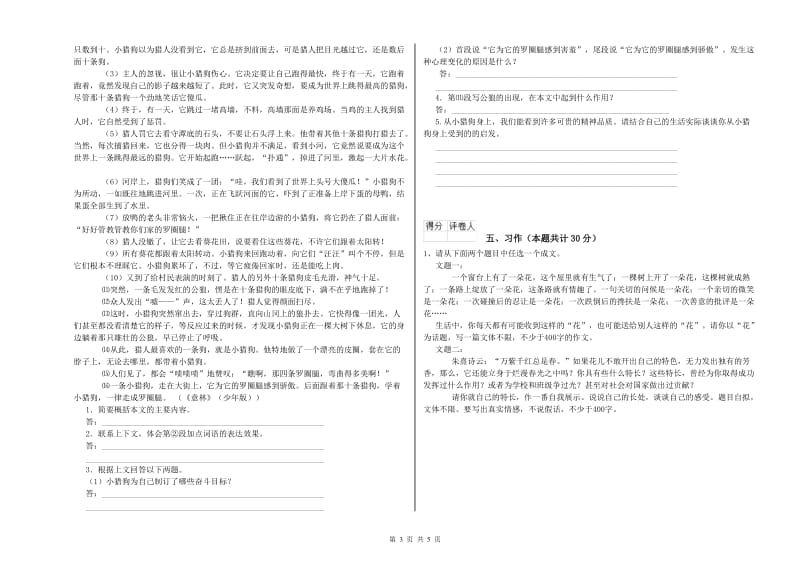 浙教版六年级语文下学期考前检测试卷D卷 含答案.doc_第3页