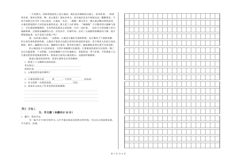 河南省小升初语文过关检测试卷B卷 附解析.doc_第3页