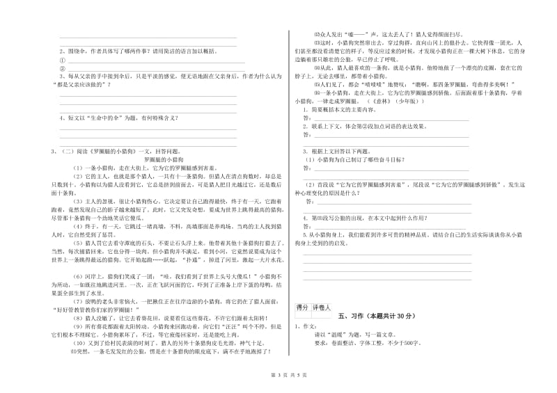 沪教版六年级语文上学期能力检测试卷C卷 含答案.doc_第3页