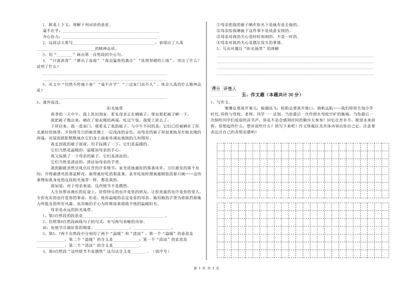 河源市重点小学小升初语文过关检测试卷 附答案.doc_第3页