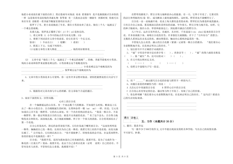 江苏版六年级语文下学期过关检测试题B卷 含答案.doc_第3页