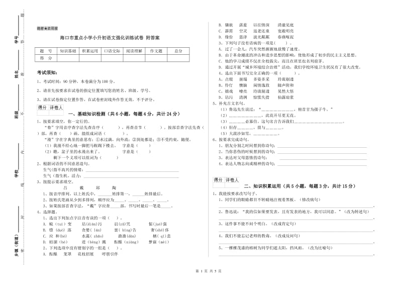 海口市重点小学小升初语文强化训练试卷 附答案.doc_第1页