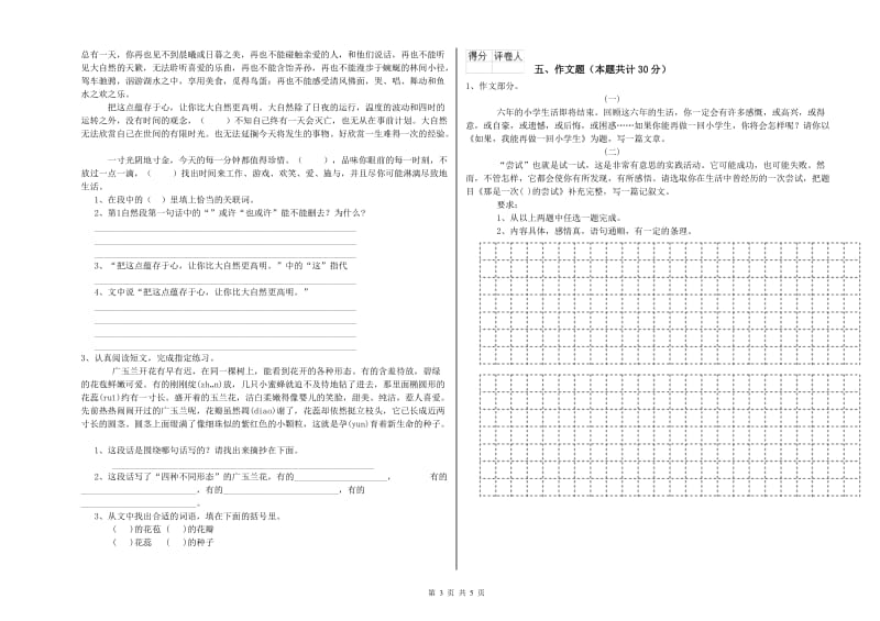 河南省小升初语文过关检测试题D卷 附答案.doc_第3页