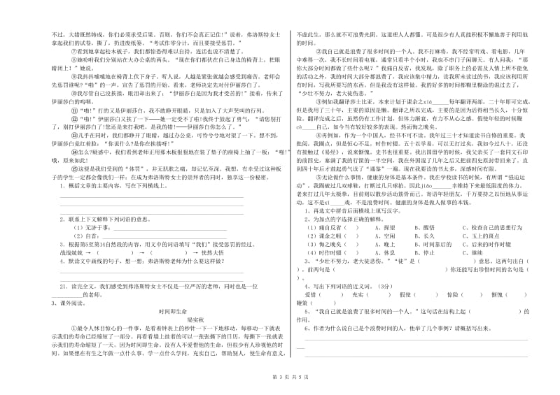 深圳市实验小学六年级语文【下册】能力检测试题 含答案.doc_第3页
