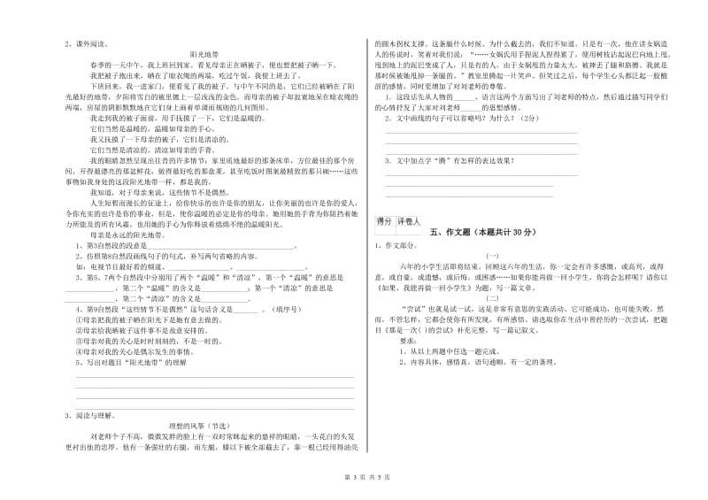 济南市重点小学小升初语文考前练习试卷 含答案.doc_第3页