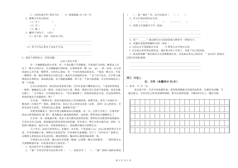 沪教版六年级语文下学期开学检测试题A卷 含答案.doc_第3页