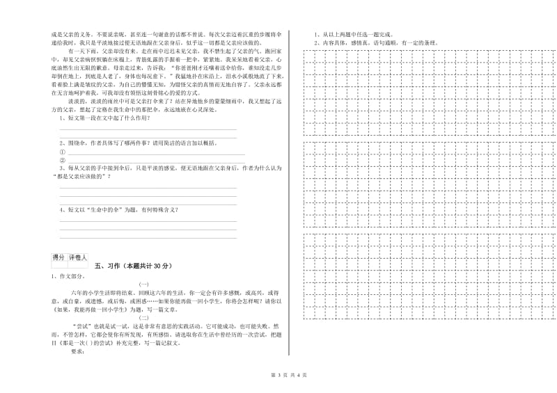 清远市实验小学六年级语文下学期能力提升试题 含答案.doc_第3页