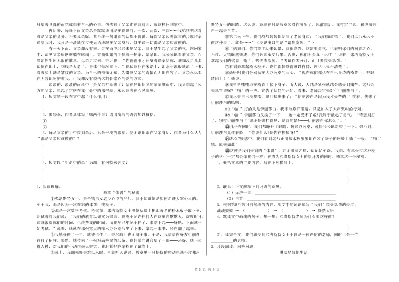 河南省小升初语文综合检测试卷C卷 附解析.doc_第3页