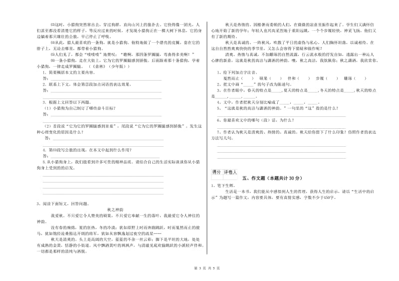 海口市重点小学小升初语文自我检测试题 附答案.doc_第3页