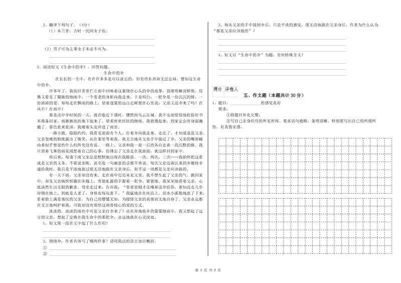 淮南市重点小学小升初语文能力检测试卷 含答案.doc_第3页