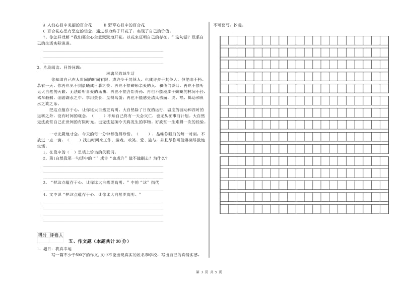 河南省小升初语文能力提升试卷 含答案.doc_第3页