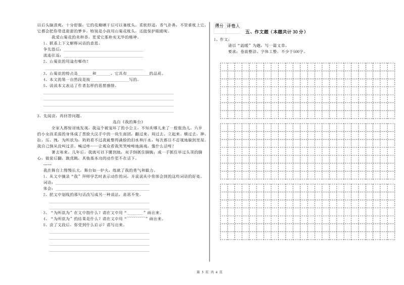 淮北市重点小学小升初语文考前检测试题 含答案.doc_第3页