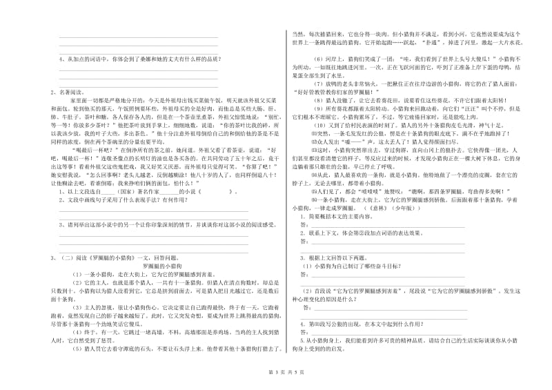 沈阳市重点小学小升初语文提升训练试题 含答案.doc_第3页