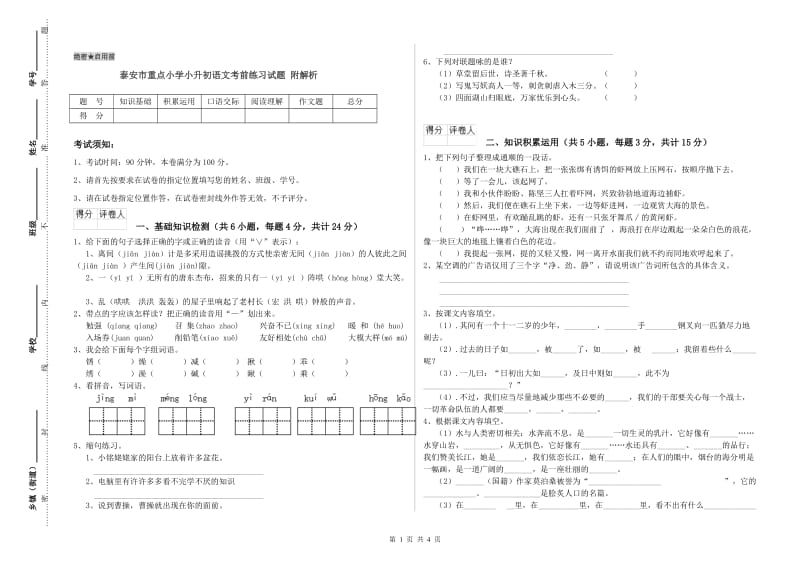 泰安市重点小学小升初语文考前练习试题 附解析.doc_第1页