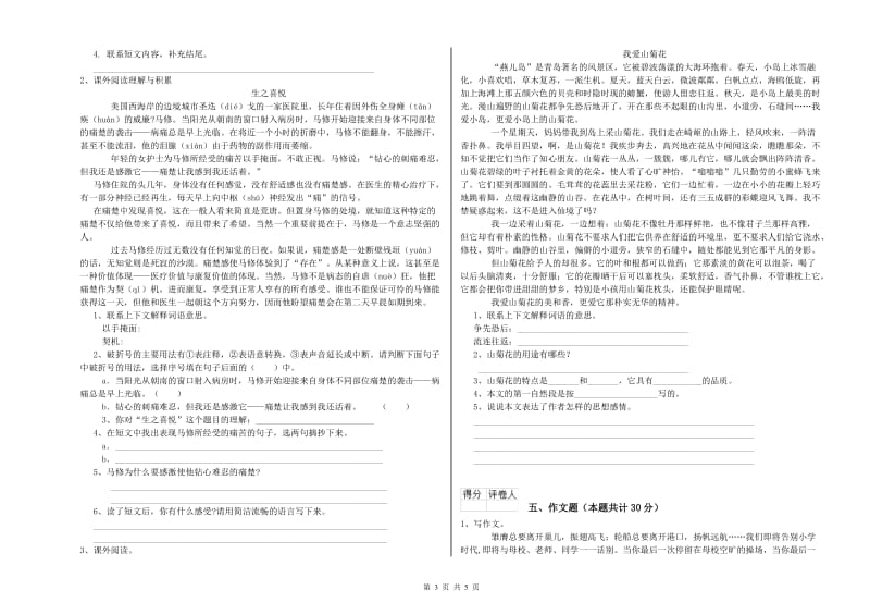 河南省小升初语文模拟考试试卷D卷 附解析.doc_第3页