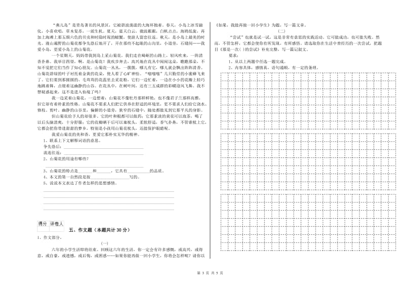 江西省重点小学小升初语文过关检测试卷C卷 含答案.doc_第3页