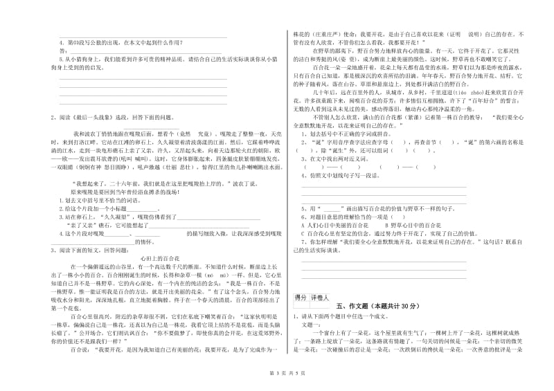 海北藏族自治州重点小学小升初语文强化训练试卷 附答案.doc_第3页