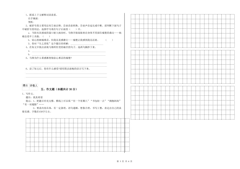 泰州市重点小学小升初语文考前检测试题 含答案.doc_第3页