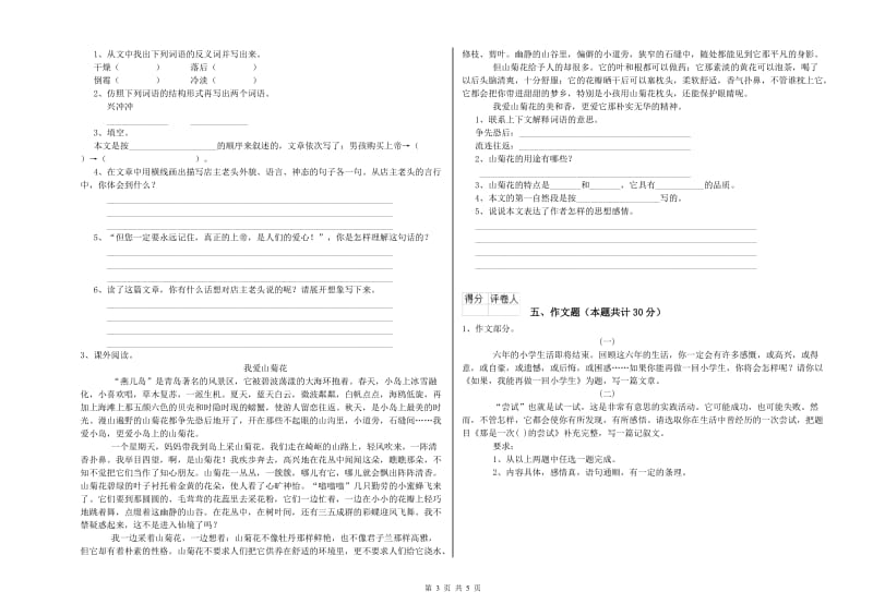 浙江省重点小学小升初语文提升训练试卷C卷 附解析.doc_第3页