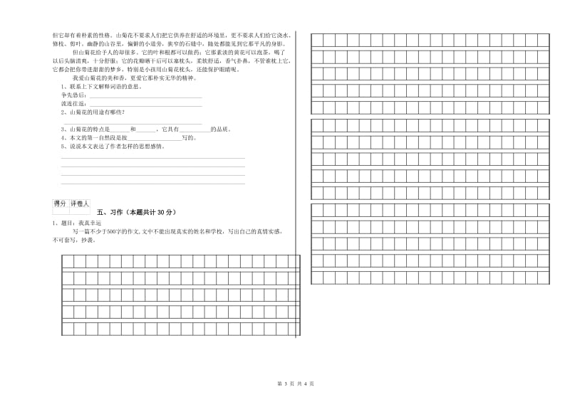 泰州市实验小学六年级语文【下册】过关检测试题 含答案.doc_第3页