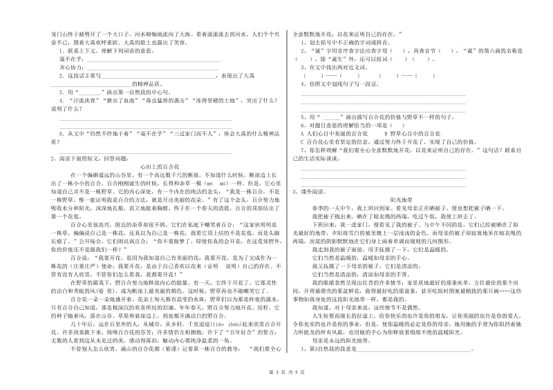 河南省小升初语文综合检测试题B卷 附答案.doc_第3页