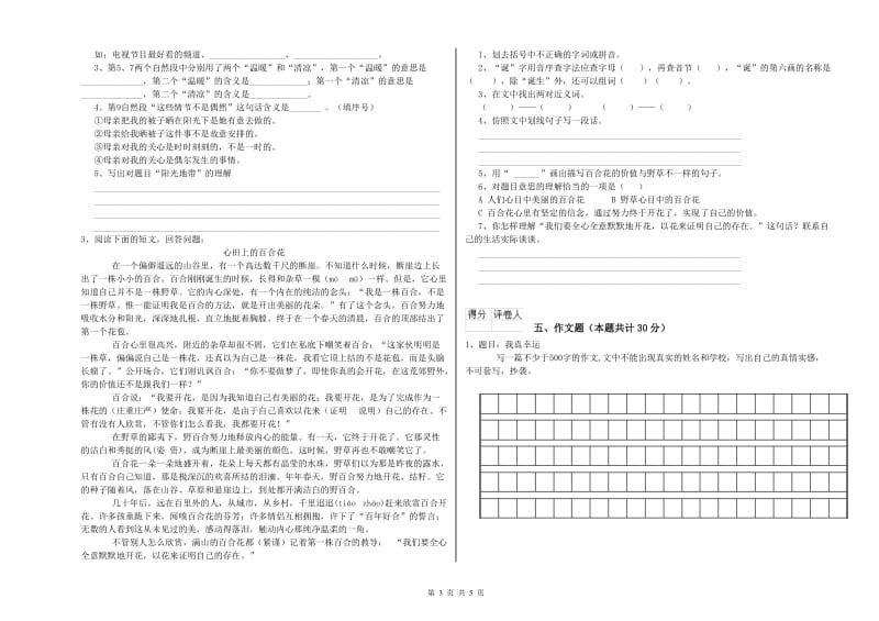 河南省重点小学小升初语文过关检测试卷 附解析.doc_第3页